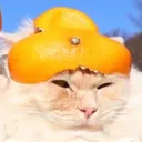 lintaroh