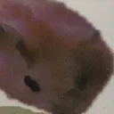 rcyguns