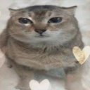 avatar The Beauty Shadow ღ