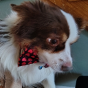 avatar Gi (Radiostar Productions CEO)