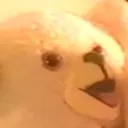 neatokorito1016