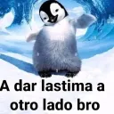elsopesxd avatar