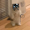 avatar Kris