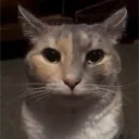 creepdasheep