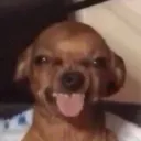 jhenisete