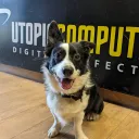 robertutopia