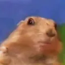 yusuffs