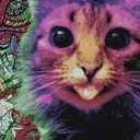 daggertotheeye