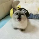 Аватар yaroslav_ne_iz_yaroslavlya