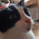 2elow