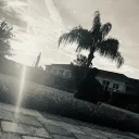 dxm0_0