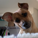 avatar luvwinterr. ❀