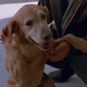 tucker_077