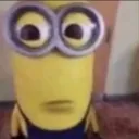 _danigouu avatar