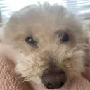 pnpnpn.のアバター