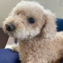 pnpnpn.のアバター
