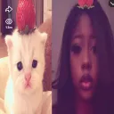 blvesugar