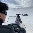 avatar Furryy | Quantum Studios