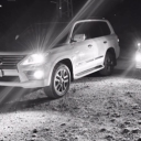 avatar Furryy | Quantum Projects