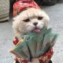 mewnek avatar