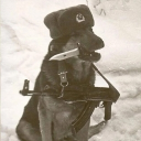 avatar $ The Market Bishop