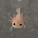 magicspacehole