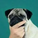 felipe.000 avatar