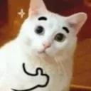 lerder_