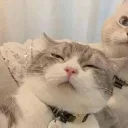 yishy