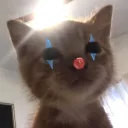 qz_o