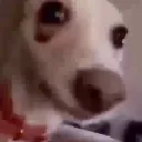 manofo
