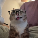 Discord Avatar