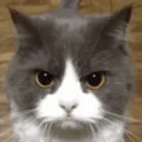 Image for derpxdxzuwu