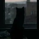 louifps