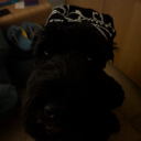 gsd7424#4313's avatar