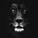leonras2 avatar