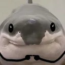 ch_oimy
