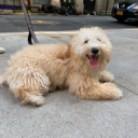 bobavic#7148's avatar