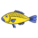 cryhaddock