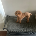 avatar Detective Katie🕵️‍♀️