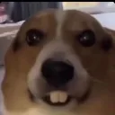 ahxhabdbwidcp