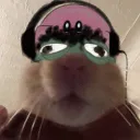 zeroazul