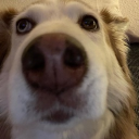 avatar schmarie744