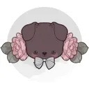nieshiii