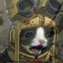 whomst_box avatar