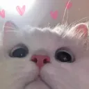 alishadidthat