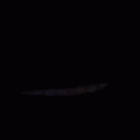 _wzss