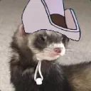 kokathegenie