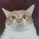 l2014253661818's Avatar