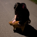 avatar 𝕷𝖔𝖍𝖎𝖐ää𝖗𝖒𝖊-𝕹ä𝖐𝖎